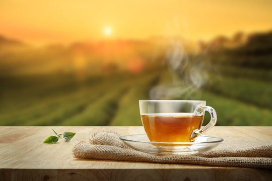 Cup of hot herbal tea on a wooden table at sunset
