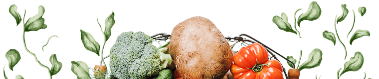organic-farming-illustrations-02