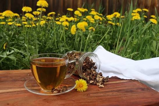 Dandelion tea with fresh dandelion flowers