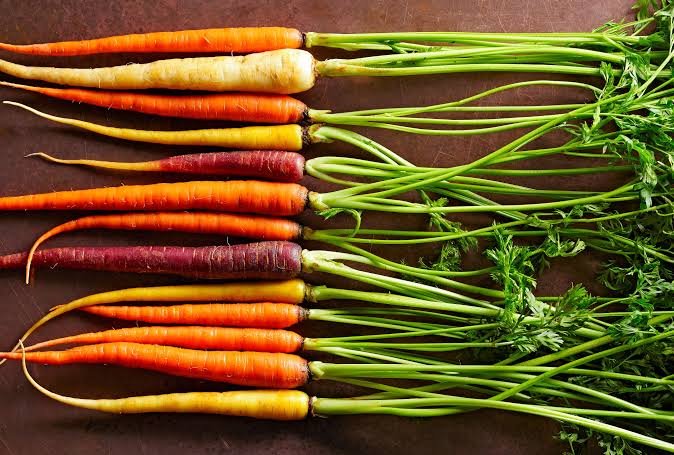 Fresh carrots with their green leafy tops